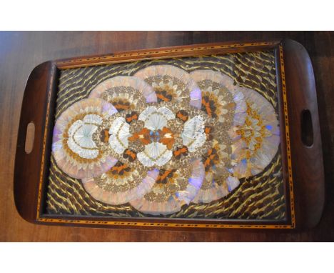 Butterfly Wing Tray. Vintage Brazilian Butterfly Wing with Marquetry Inlaid Hardwood Tray (large size). Measures approx 24 x 