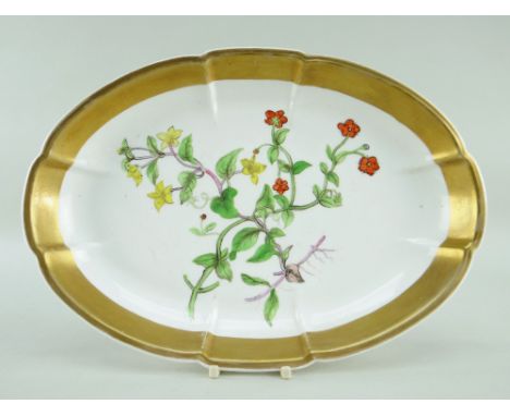 A SWANSEA PORCELAIN CRUCIFORM OVAL DISH circa 1816, centred with a botanical study by William Weston Young within a solid gil