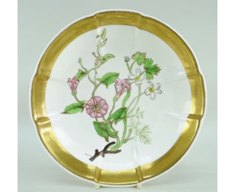 A SWANSEA PORCELAIN CIRCULAR CRUCIFORM DISH circa 1816, centred with a botanical study by William Weston Young within a solid