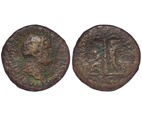 Vespasian brass sestertius, Rome Mint 71 A.D., obverse:- Laureate bust right, reverse:- Palm-Tree to the right of which stand