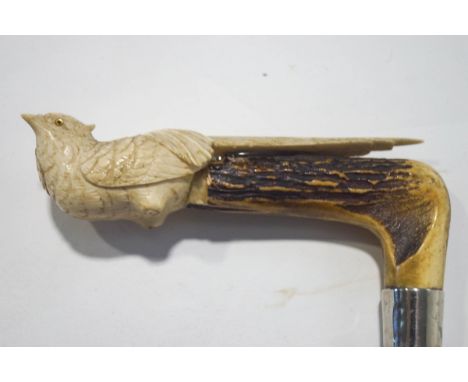 A walking stick with an antler and carved bone bird shaped handle