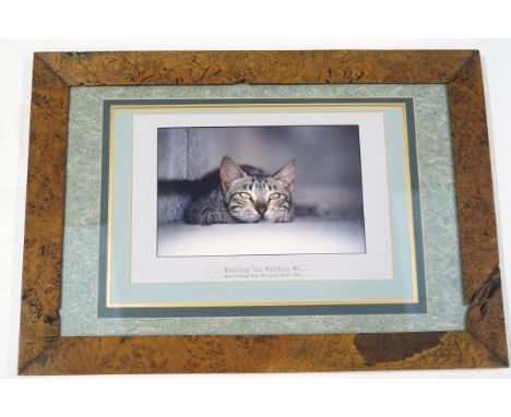 A limited edition photographic print by Martin A. Phillips, "Watching You, Watching Me", No.1/250