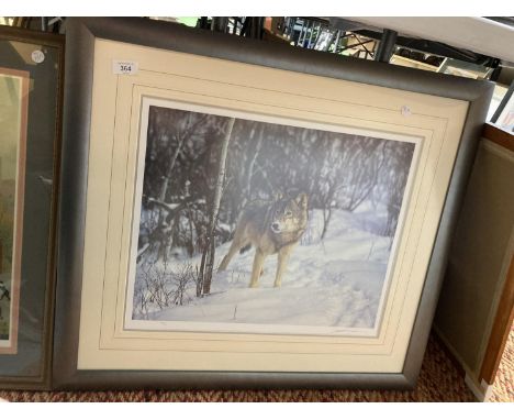 A LARGE FRAMED LIMITED EDITION PRINT OF A LONE WOLF IN A WINTER SETTING SIGNED J. R. GILKES W: 74CM 