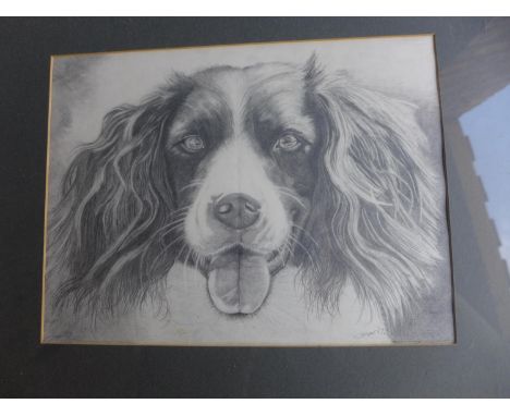 JAYNE MCCORMACK, PENCIL SKETCH OF A COCKER SPANIEL, SIGNED JAYNE 87, 23X30CM, FRAMED AND GLAZED, AND A PRINT OF A FIELD (2), 