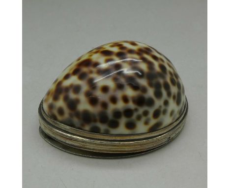 A cowrie shell snuff box, continental marks