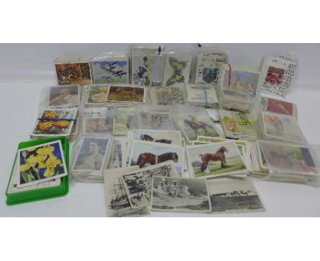A collection of large size cigarette cards including Wills Racehorses & Jockeys 1938, John Player Dandies, Wills Garden Flowe