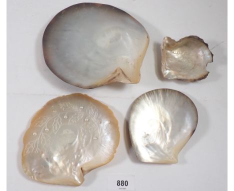 Four mother of pearl oyster shells, one decorated