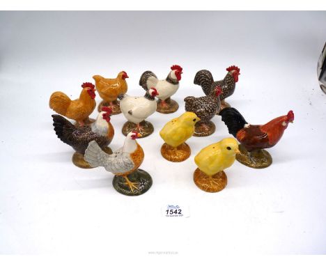 A quantity of 'Quail' chicken salt & peppers including chicks, 'Light Sussex' chicken, etc. (five pairs, one single).