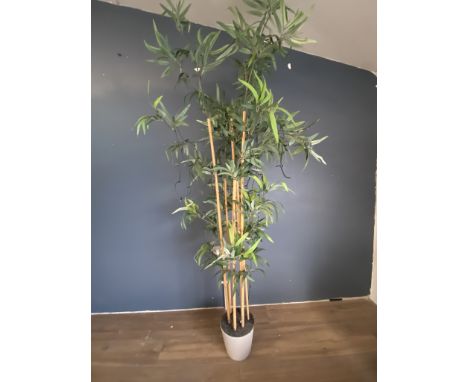 A faux bamboo plant - 170cm tall