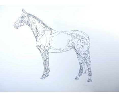 Claire O'Flaherty MA (RCA) (b.1977) Horse limited edition silk screen print signed in pencil and dated 2001, numbered 5/25 sh
