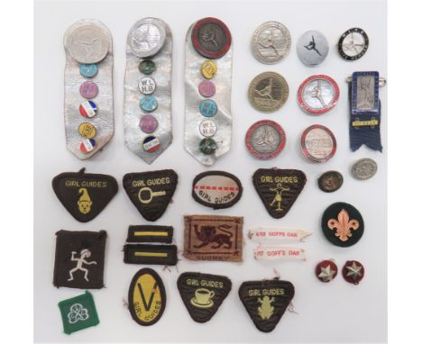 Women's League Of Health And Beauty Badges good varied selection including plated and enamel, rectangular example on blue rib