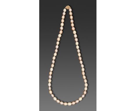 A Chinese cultured pearl necklace, with pierced gold clasp, 63cm l, marked on clasp 585, 70.4g  Good condition