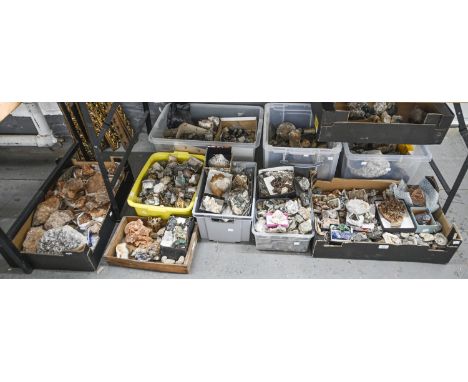 Geology. An extensive collection of various fossil and mineral specimens  