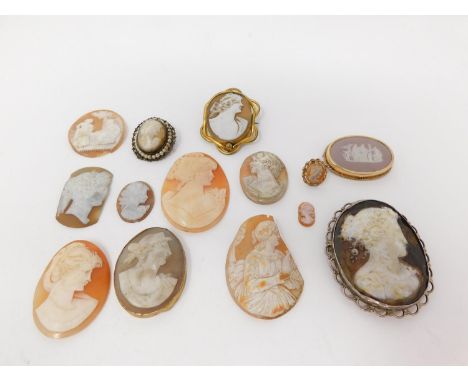 A collection of thirteen carved shell cameos and a gold filled wedgwood ceramic cameo brooch. The cameos carved with classica
