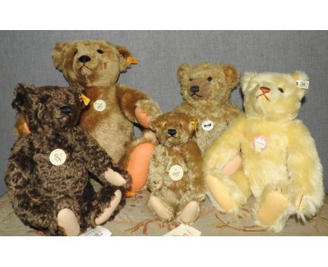FIVE STEIFF BEARS OF VARIOUS HEIGHTS AND FURS 50cm max 