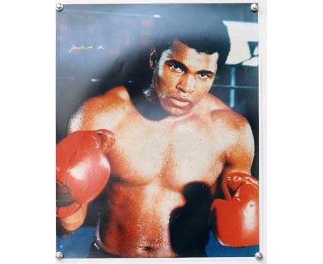 Boxing - Muhammad Ali - large colour photographic poster / print, signed in gold, flat, 16 x 20 inches..         