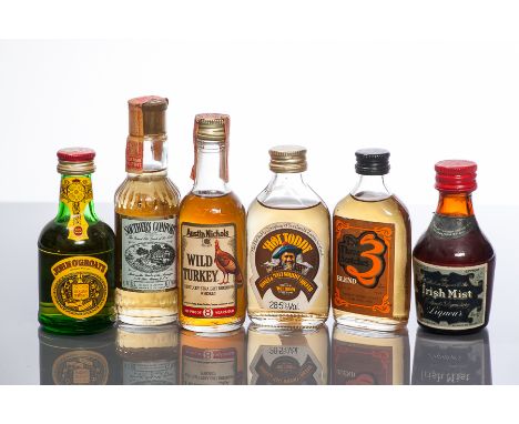 15 ASSORTED WHISKY MINIATURES
To Include: QE2 Single Malt Scotch Whisky over 12 Years Old in stoneware flagon, no capacity or