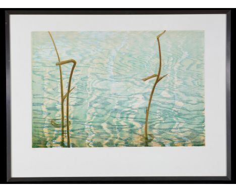 Limited edition print Swan Reeds by Anne Jope