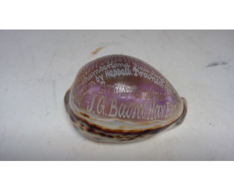 A commemorative carved cowrie shell from the 1903 Liverpool Cup, engraved 'Palmy Days, winner of the Liverpool Cup, 1903, Nor