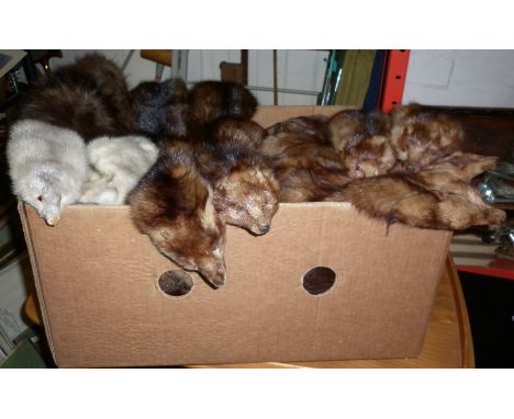 Vintage clothing:- Quantity of fur collars and wraps
