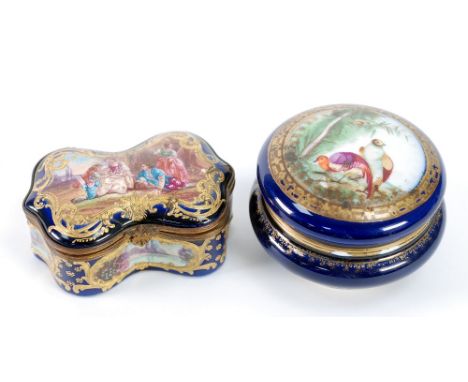 LATE NINETEENTH CENTURY SEVRES HAND PAINTED PORCELAIN AND GILT METAL MOUNTED BOX AND COVER, of serpentine outline, three hing