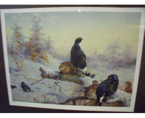 Framed and mounted limited edition 650/850 Archibald Thorburn reproduction coloured print of ptarmigan and another sporting p