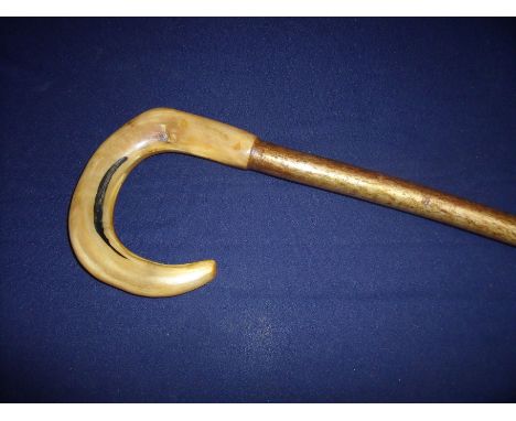 Shepherds style stick with rams horn handle (overall length 126cm) 