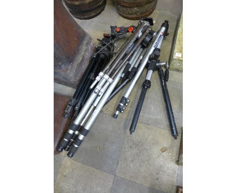 Five camera tripods