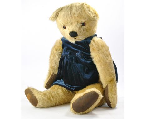Chad Valley 1950's large jointed. golden mohair traditional bear. Approx 70cm,  plastic amber and black eyes, vertical stitch