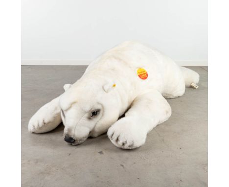 Steiff Studio Polar Bear, EAN 501500, around 1991-1999Dimensions: (W: 170 x H: 45 cm)