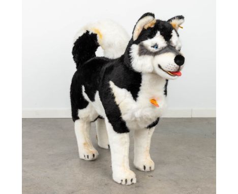 Steiff Studio Husky black, EAN 524417, around 1998-1999Dimensions: (H: 75 cm)
