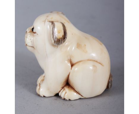 AN EARLY 20TH CENTURY JAPANESE IVORY NETSUKE OF A PUPPY, 1.75in long & 1.5in high.