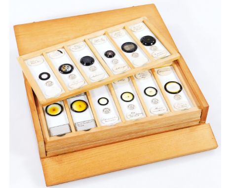 A box of various vintage microscope slides, with Watson &amp; Sons labels, to include various wings, head of a spider, 2cm di