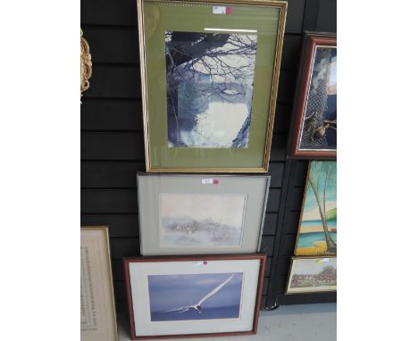 A selection of photographic prints