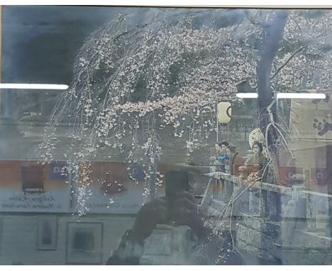 Studio Coloured photograph 'Cherry Blossom Time in Japan' Herbert George Ponting.&nbsp;&nbsp;Please see attached photos of re