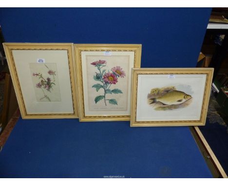 A Watercolour of wild flowers by Daisy Smith (exhibited at the Royal Academy in the 1930's, 13 1/4" x 17 1/2", 1822 hand colo