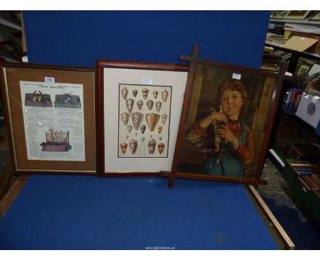 Three framed prints "Rules of Lawn Croquet", Pears style print of girl and kitten in a cruciform frame and chart showing vari