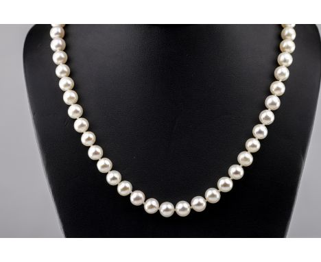 A 9ct yellow gold and cultured pearl single-strand necklace,  the 7.6-7.9mm cultured pearls on a knotted string, terminating 