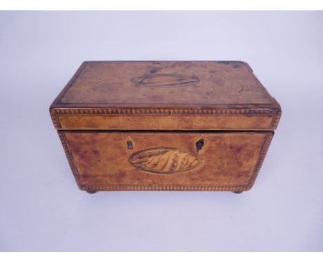 An 18th Century Tea Caddy with shell medallion inlay, diamond and dentil friezes and satinwood stringing, two interior mahoga