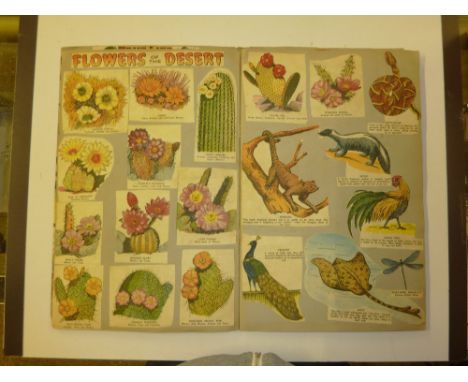 A box containing cigarette card albums; a scrap book etc.