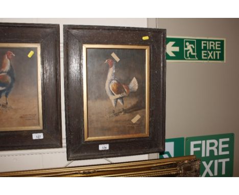 Jack Howell, oil on board depicting a fighting cock