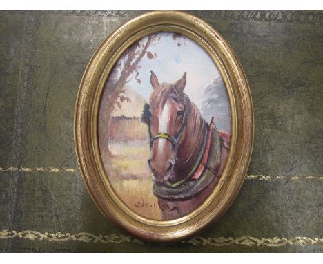 STEPHEN WALKER (1900-2004) - An oval gilt framed oil on board - portrait of a Bay horse with collar and blinkers, shed to bac