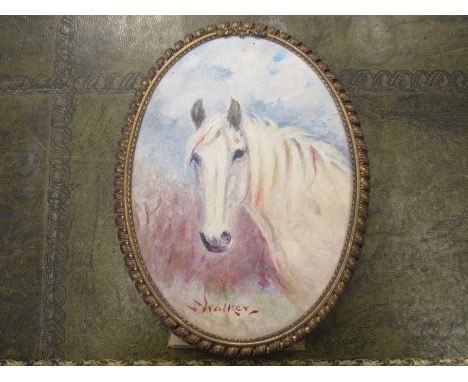 STEPHEN WALKER (1900-2004) - An oval oil on board - portrait of a white horse, easel frame. 17cm x 12cm 