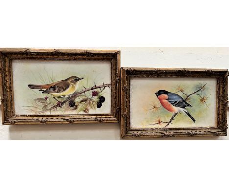 A pair of hand painted ceramic bird plaques by Leighton Maybury:&nbsp; Bullfinch &amp; Marsh Warbler, 9 x 16.5cm, gilt framed