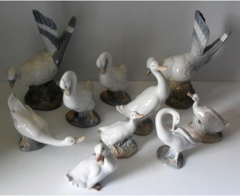 An assortment of ten Lladro and NAO figurines of various birds, ducks, geese, doves, etc., all without damage or repair (10) 