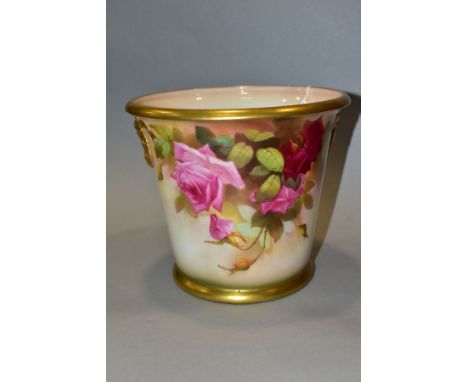 A ROYAL WORCESTER BLUSH IVORY PLANTER, hand painted with pink and red roses, signed Sedgley below the top rim, moulded gilt r