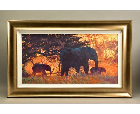 ROLF HARRIS (AUSTRALIAN 1930) 'BACKLIT GOLD', a limited edition print of Indian elephants 178/195, signed bottom left with ce