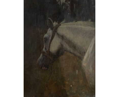 Attributed to Charles Edward Stewart (1822-1894) 'Study of a horse', oil on panel, unsigned, 29.5cm x 22.5cmNote: There is a 