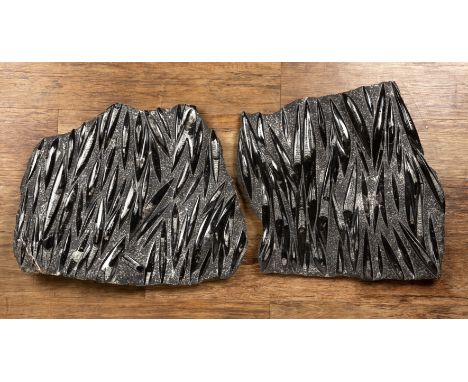 Pair of Orthoceras Creswell fossil wall-mounted specimens the first approximately 58cm x 54cm, the second approximately 54cm 