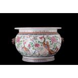 Large Pink Family cachepot